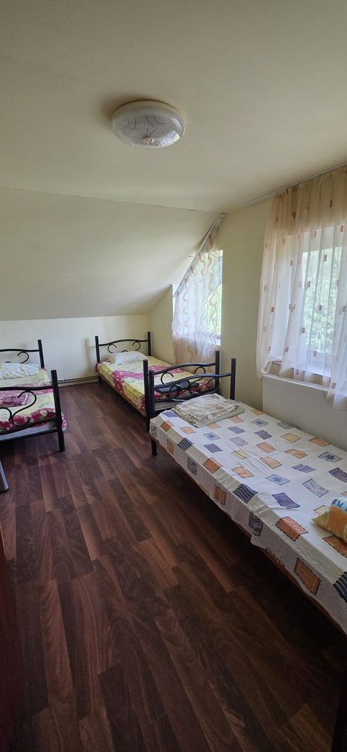 Pensiune cu acces direct la Dunare si teren de peste 6.000 mp, Berzasca - Poză 17
