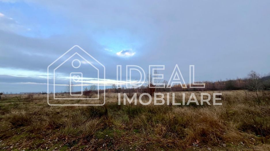 Teren extravilan 6.500 mp – Cârțișoara | Comision 0% - Poză 4