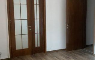 BRASADAS inchiriaza vila RENOVATA Unirii - Poză 8
