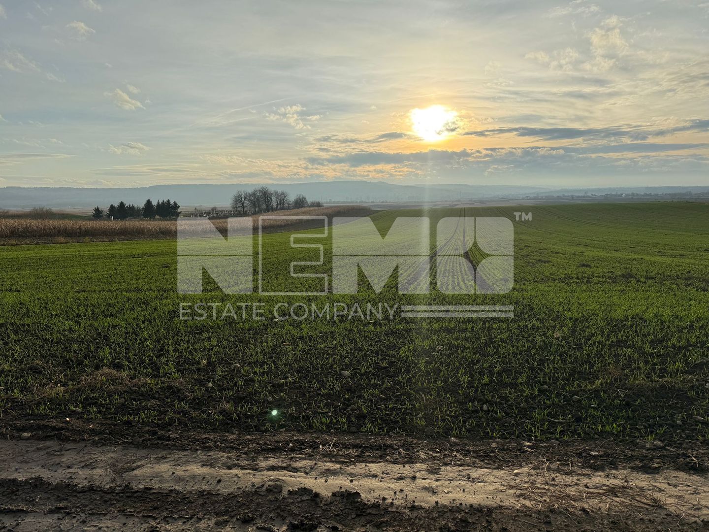 TEREN EXTRAVILAN | E85 | 126.000EURO NEGOCIABIL | - Poză 4