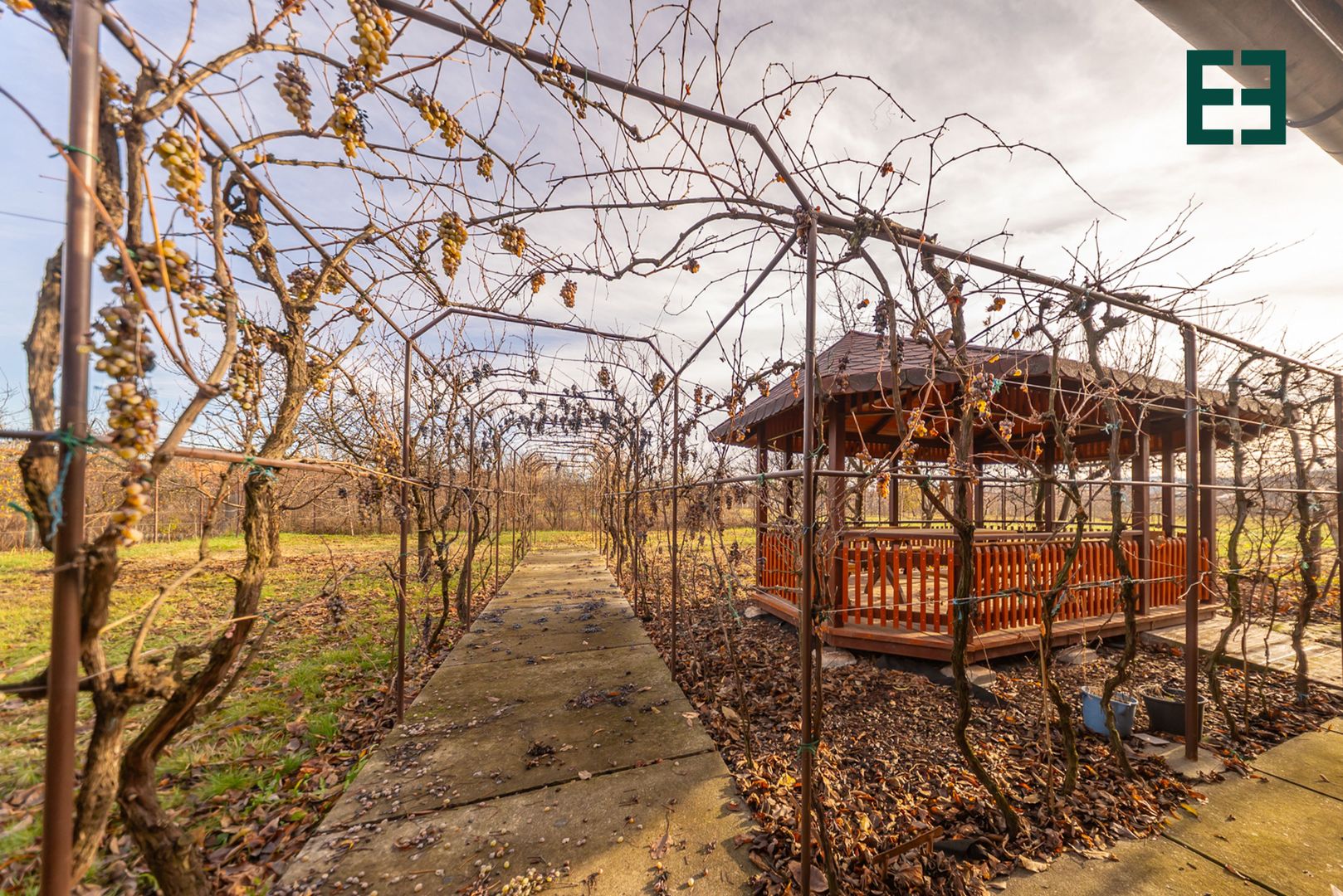 Casă spațioasă în orașul Pâncota județul Arad - Poză 23