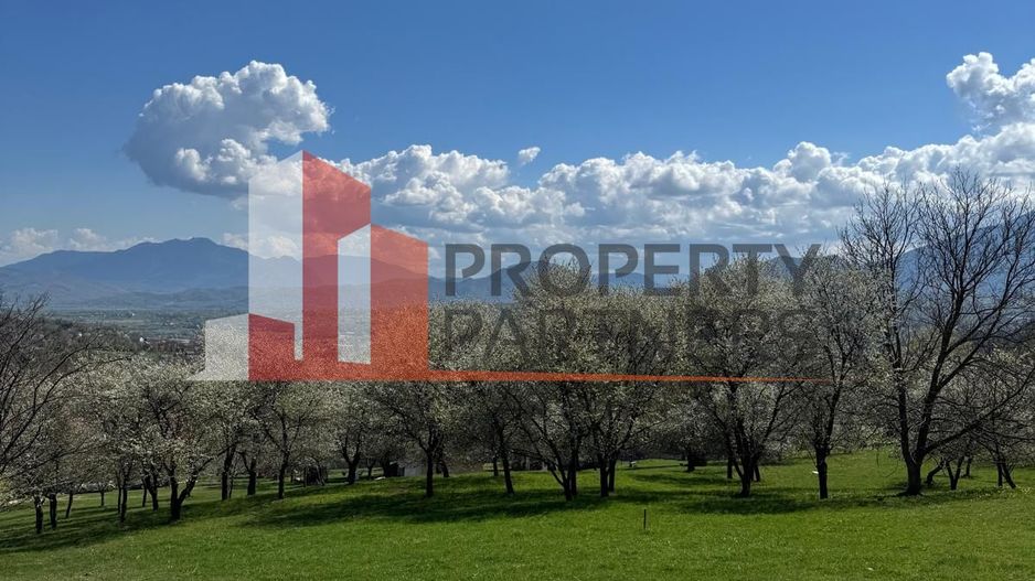 Terenuri Bran - Predelut  Priveliște către Bucegi și Postăvaru - Poză 16