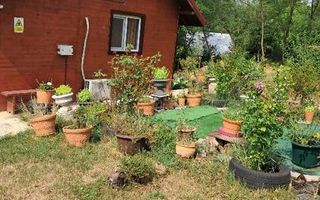 Casa si teren 2000 mp - Poză 8