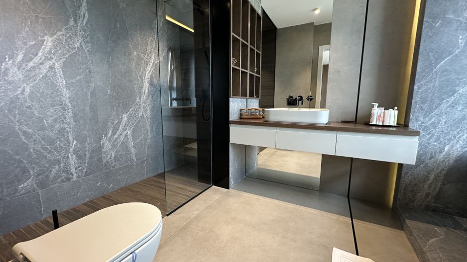 PROIECT  DEOSEBIT  IN  DUMBRAVITA - Poză 32