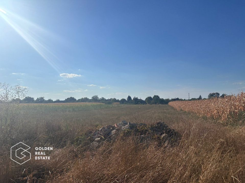 Teren intravilan, Zimandul Nou, posibilitate construire casa, 2200 mp - Poză 1