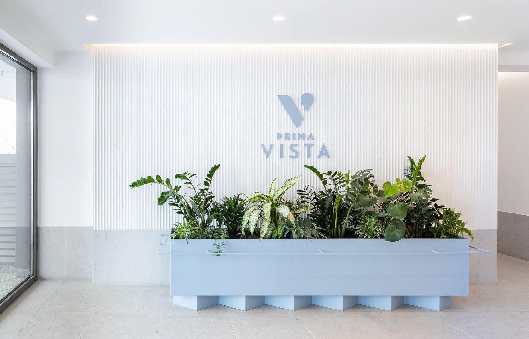 Prima Vista - Poză 13