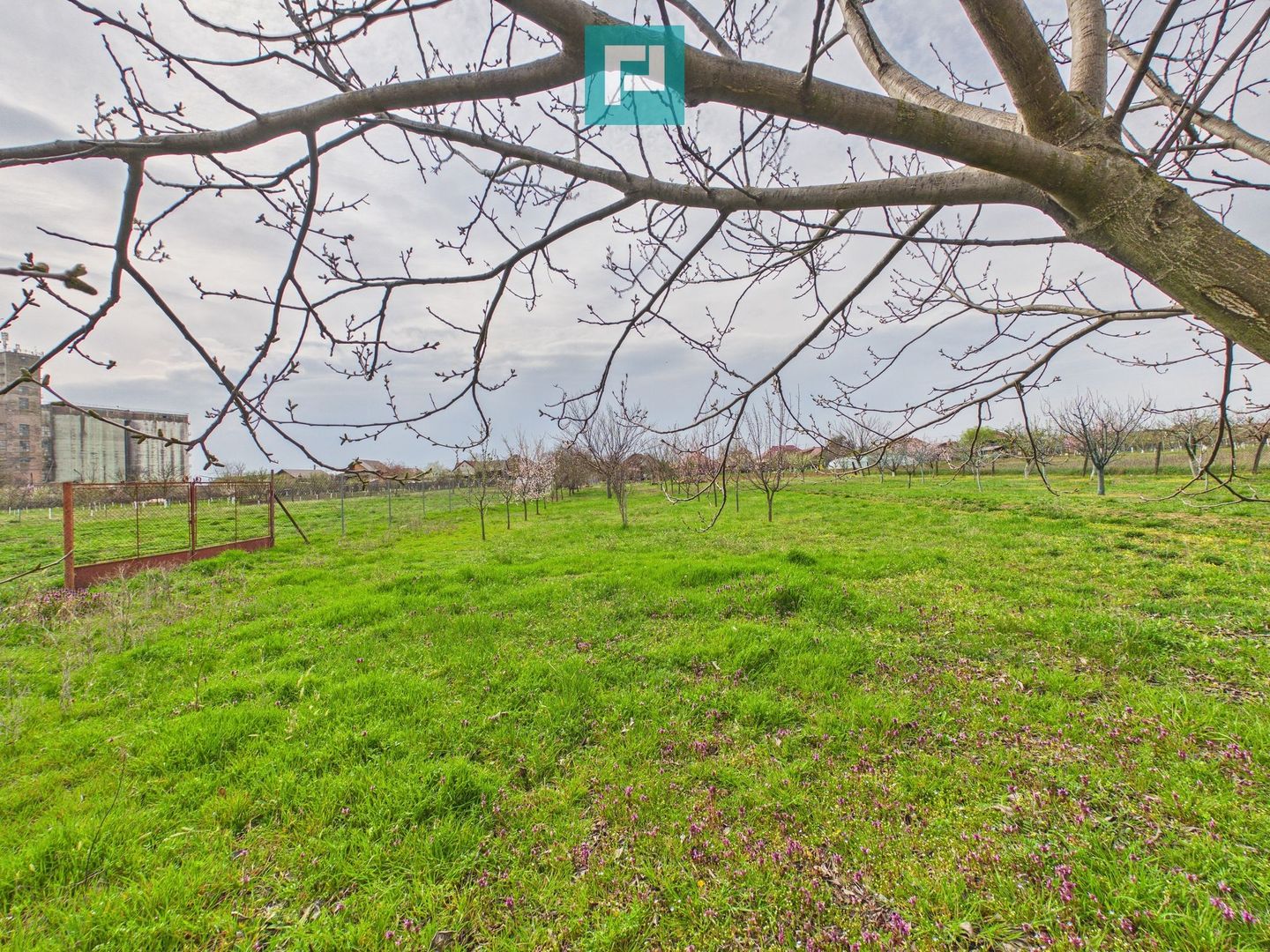 Casă spațioasă în Sântana - Poză 34