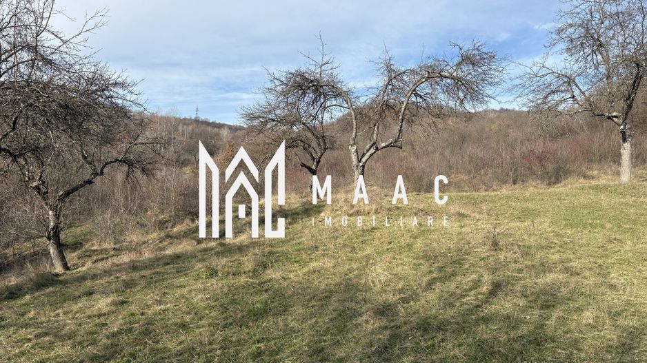 Teren  extravilan I 5300 mpI  Salatrucel -Calimanesti - Poză 5