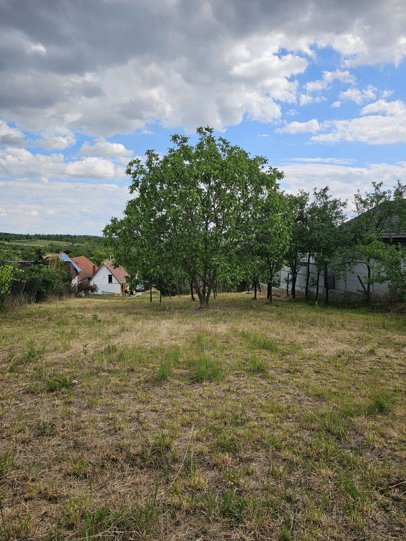 Teren construibil Saldabagiu de Munte 780 mp - Poză 1