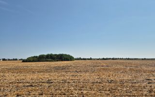 Teren intravilan 4428 mp - Balotesti - Poză 1