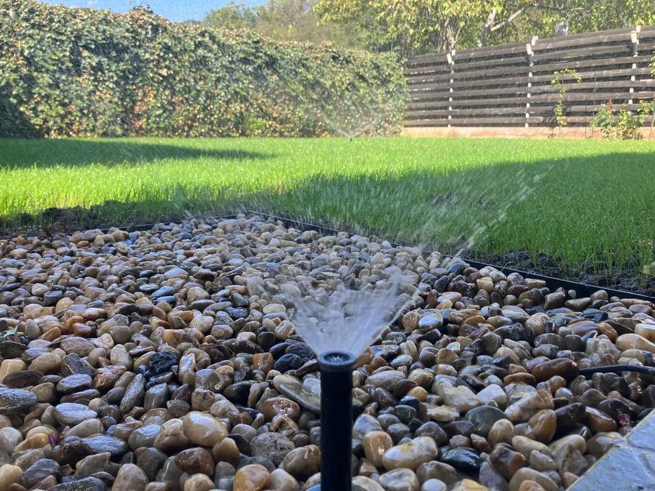 Casa Moderna in Bacu Mobilata | langa Dragomiresti & Chiajna - Poză 14