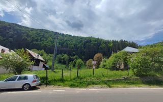 Teren Voineasa/Intravilan/5500 mp - Poză 2