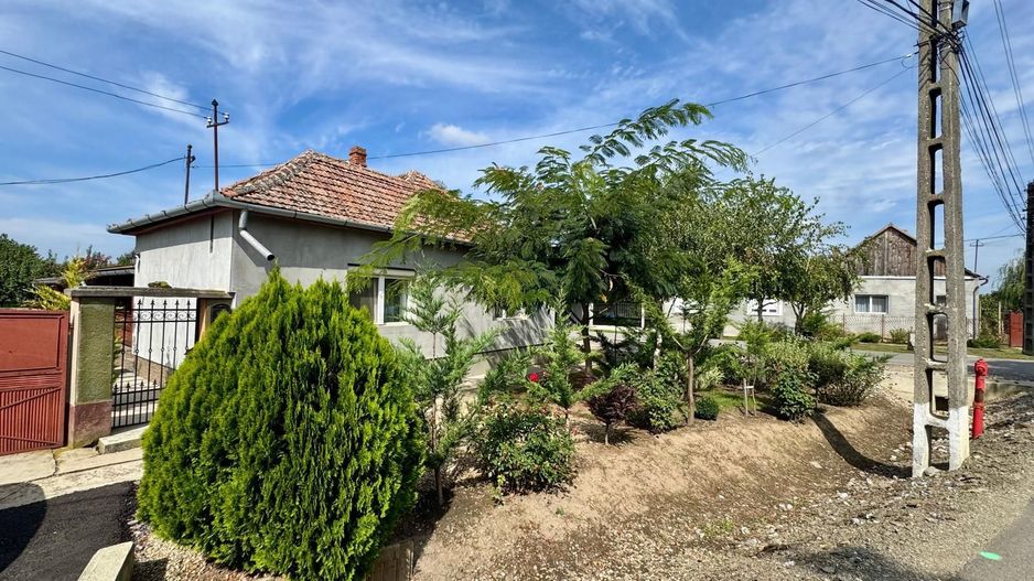 Casa cu 4 camere si livada la 25 km de Oradea - Poză 4