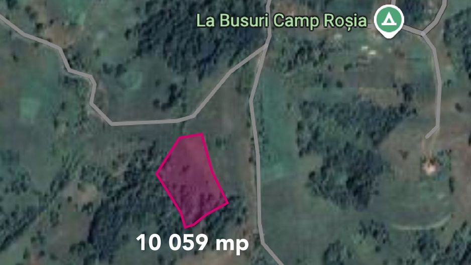 Teren cu panoramă fabuloasă, 10.059 mp, Roșia. 19.000 EUR. Comision 0 - Poză 6