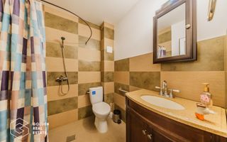 Proprietate pretabila pentru afacere, Cladova - Poză 26