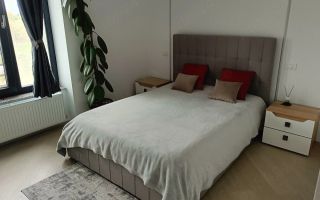 Apartament 3 camere de închiriat Delta City – Parcul Natural Văcărești - Poză 3