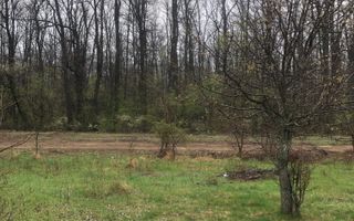 Teren de vânzare 10.028 mp – Mogoșoaia, lângă Pădurea Motoc - Poză 8