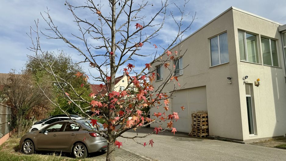 Spațiu comercial - Poză 23