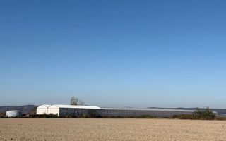 Complex agroindustrial de închiriat | Sere 3.300 mp - Poză 8