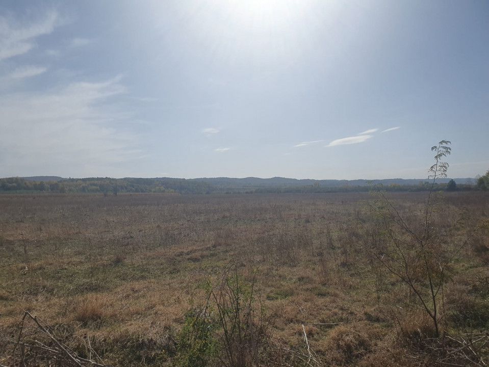 Vanzare teren arabil 22 Ha, plan, Arges, Moraresti - Poză 2