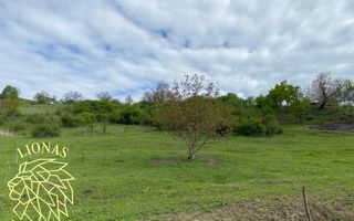 Teren Extravilan - Ghinda - 3.5000mp-Parcelabil - Poză 6