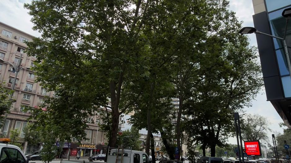 spatiu birouri 228 mp | Universitate | Nicolae Balcescu - Poză 18