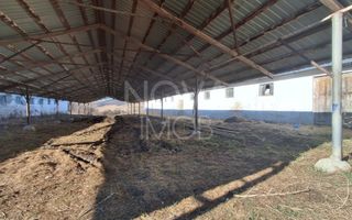 Ferma complet echipata de vanzare – zona Agnita, judetul Sibiu - Poză 9