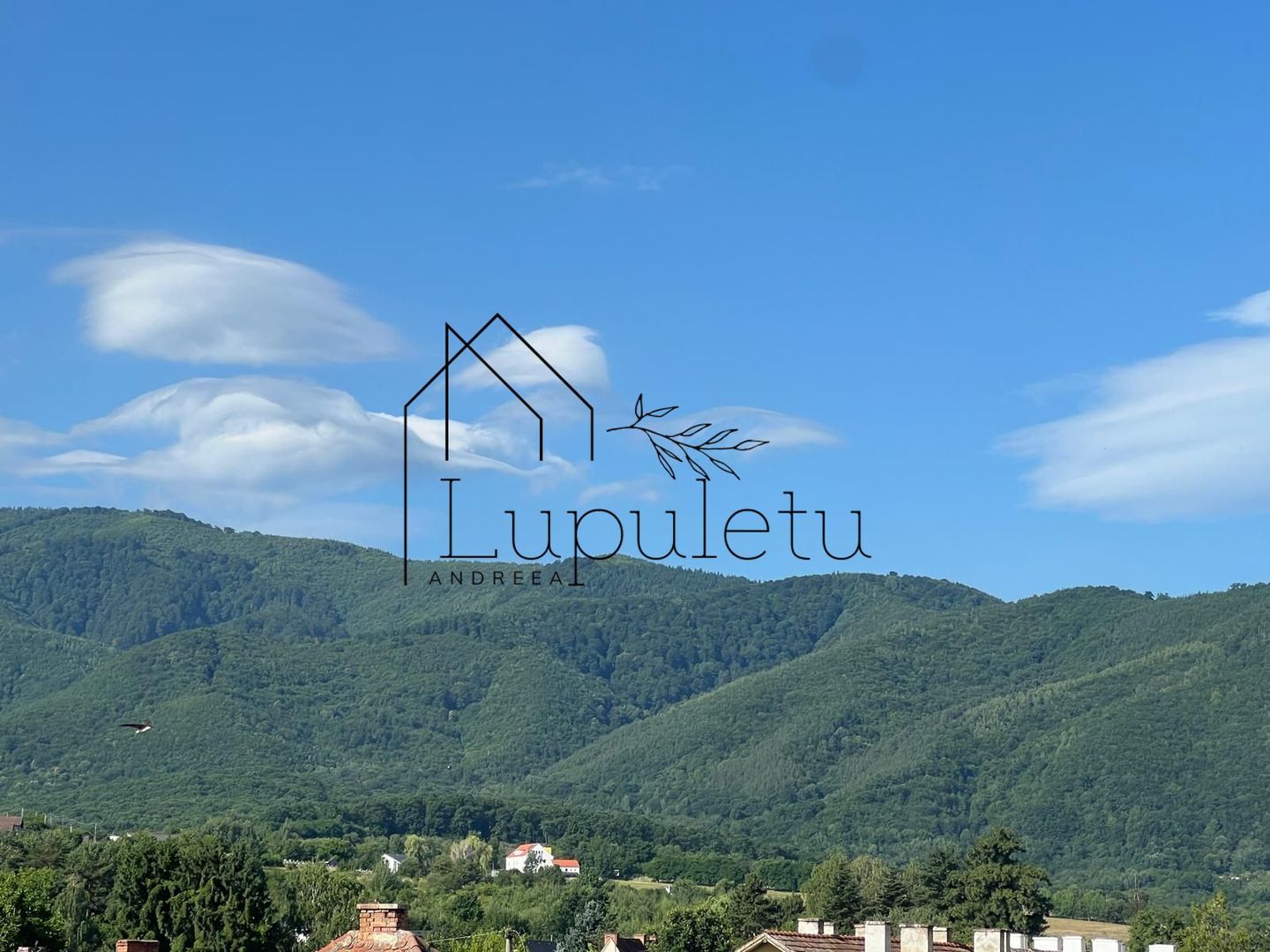 Apartament 2 Camere | 40 MPU |  Zonă Centrală Cisnădie - Poză 12