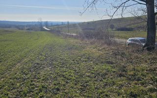 Teren intravilan Cetariu 1500 mp - Poză 6