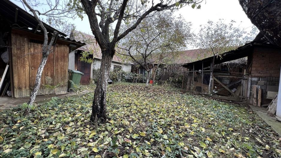 Casa de vanzare in Tasnad, SM oportunitate de investitie - Poză 11