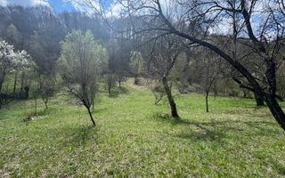 TEREN INTRAVILAN 4365 MP POENARII DE MUȘCEL  JUDEȚUL ARGES - Poză 23