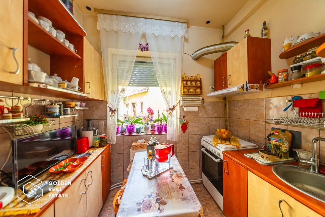 Rar pe piata! 2 apartamente singure in curte, fatada renovata, zona Teatru - Poză 9