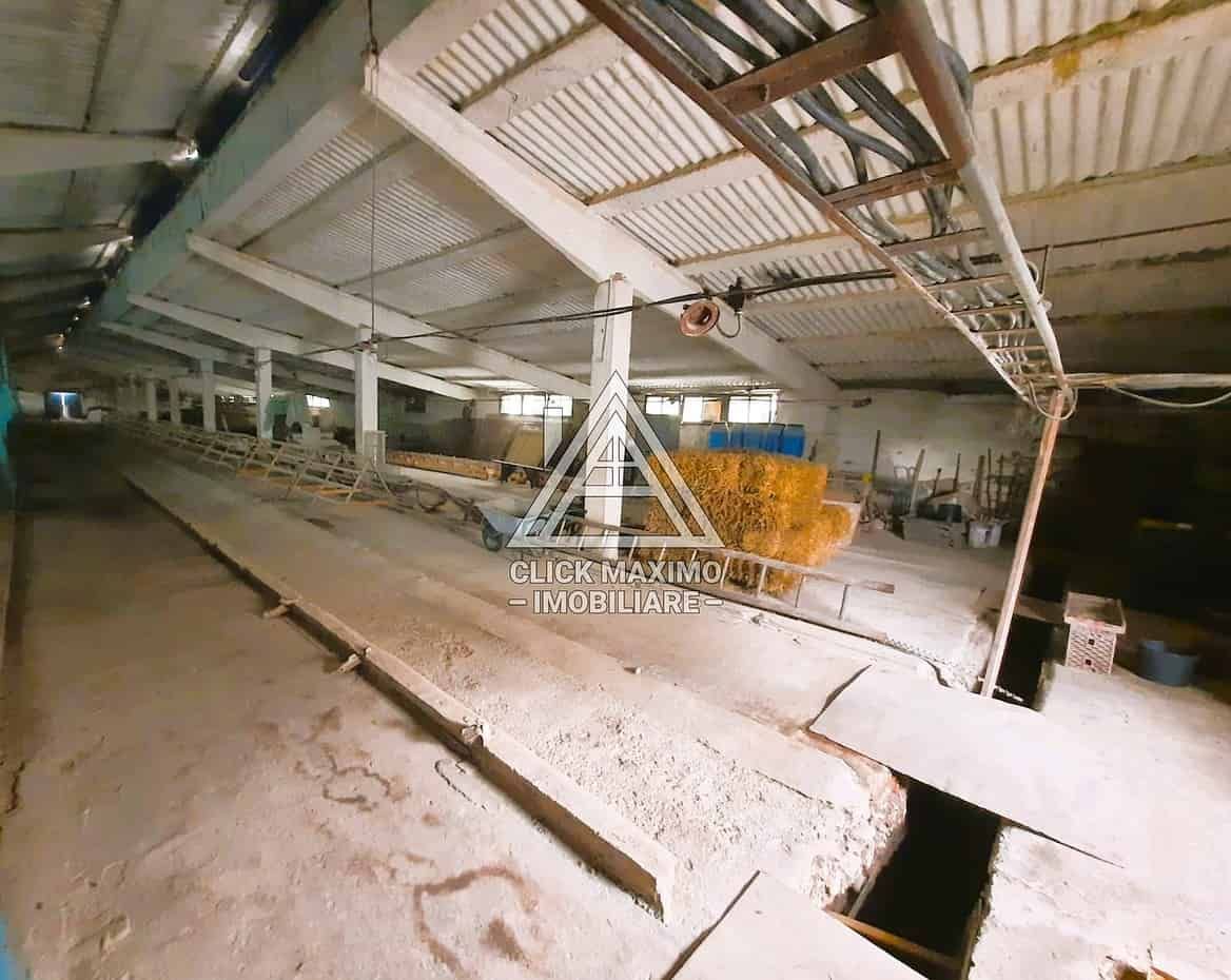 770 mp HALA TIP AVICOLA si 1390 mp TEREN INTRAVILAN, BECLEAN-BISTRITA - Poză 3