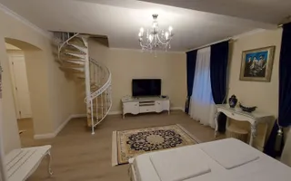 Pensiune de Lux | Conac De Poveste | Spatii comerciale | Gura Raului - Poză 35