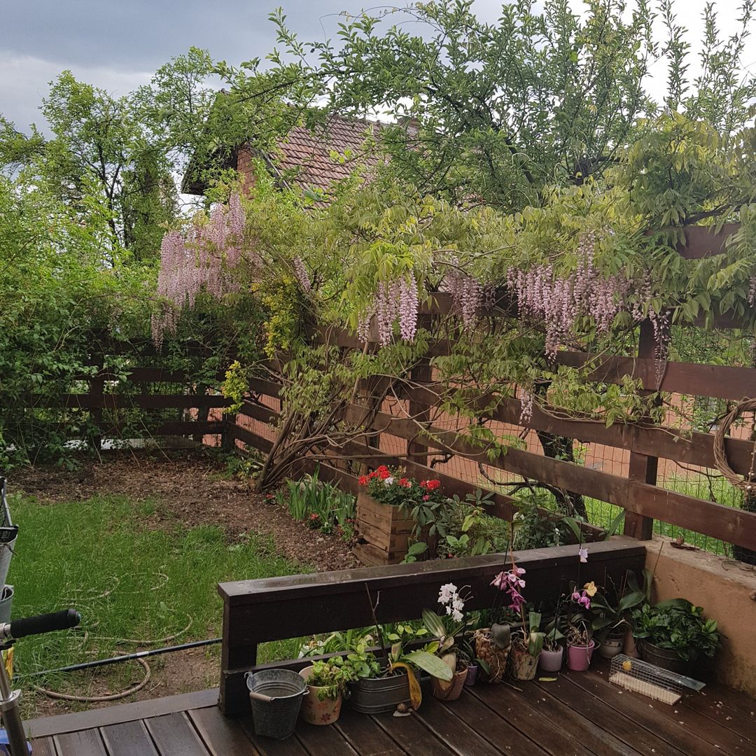 De inchiriat! Casă deosebita in Gruia, panorama spectaculoasa! - Poză 9