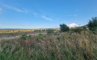 Teren pretabil cabana zona Poplaca  - Poză 4