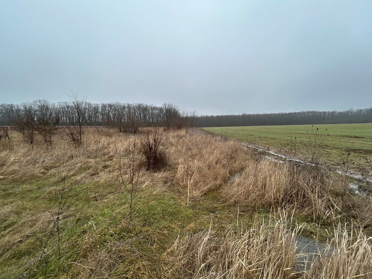 Teren intravilan de vânzare – 5.986 mp, Ciofliceni, Snagov (Ilfov) - Poză 1