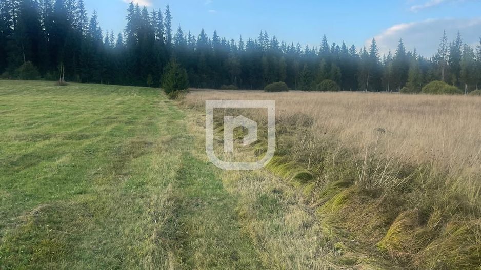 Teren intravilan  – Poiana Stampei 🌲 - Poză 1