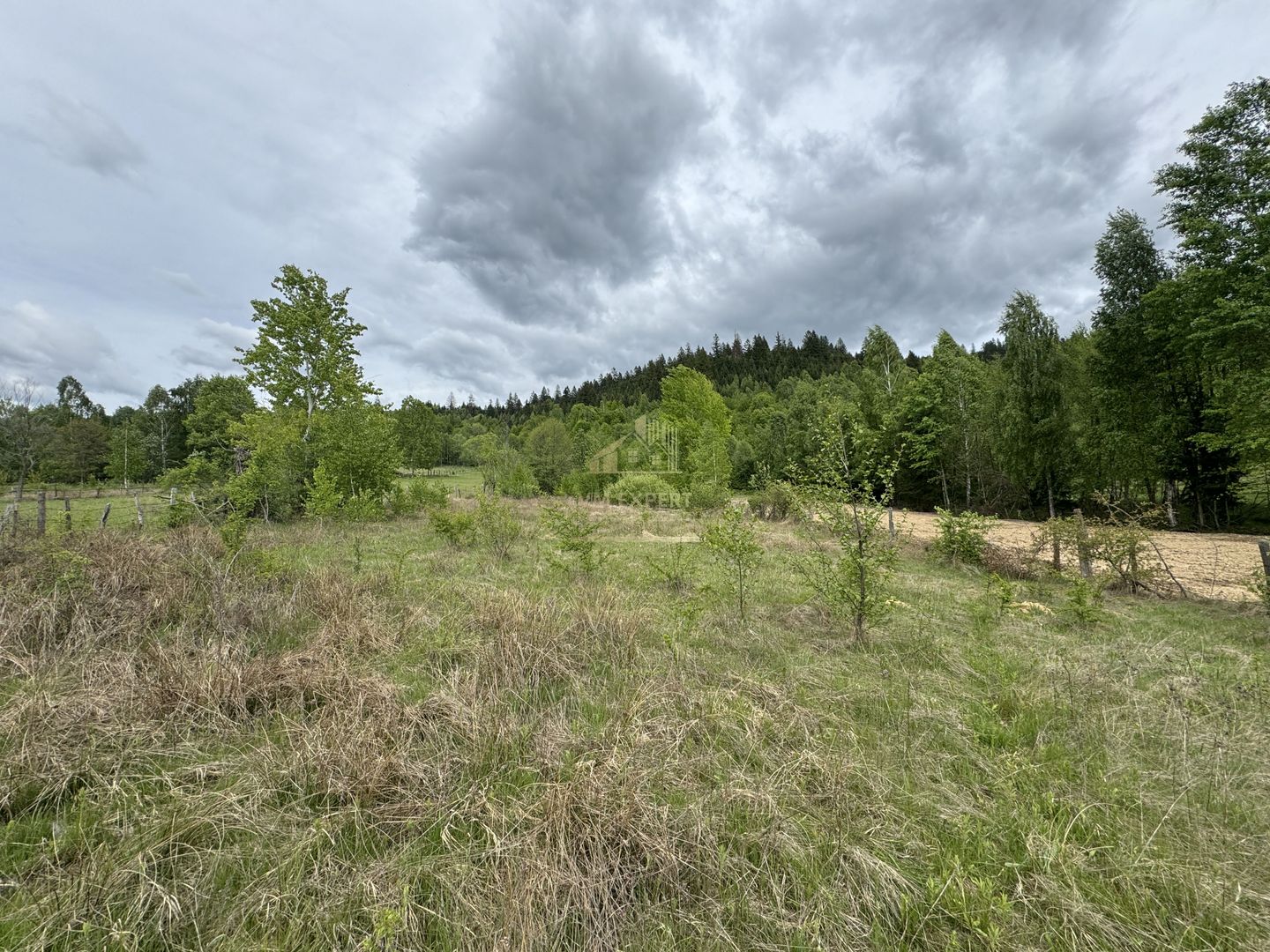 TEREN INTRAVILAN 6680 MP LERESTI ARGES - Poză 1