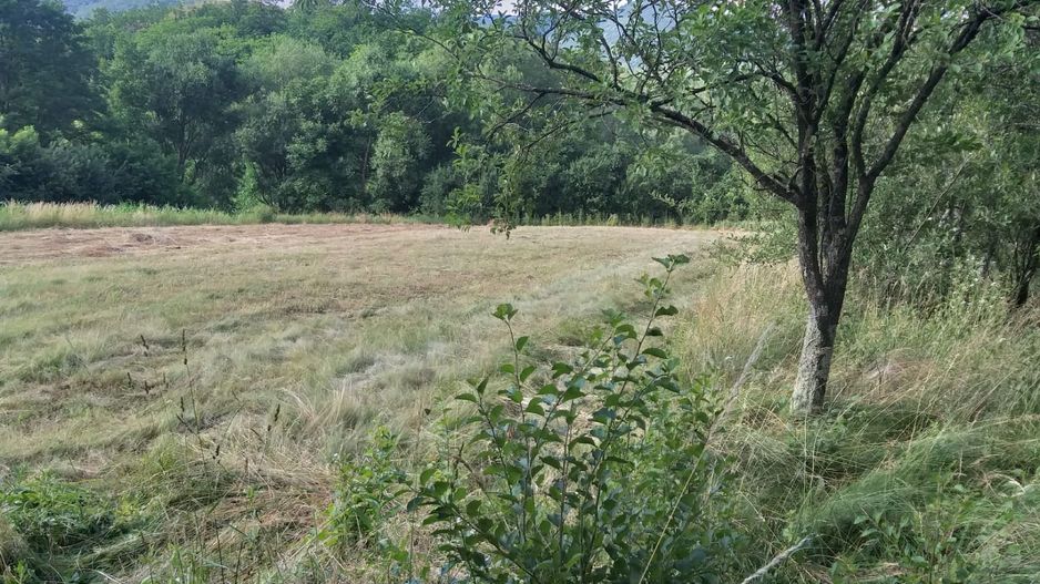 Teren Sasca Română-1079 mp - Poză 2