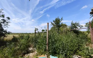 Teren de 11.000 mp cu casă și teren agricol | La 40 km de București | - Poză 21