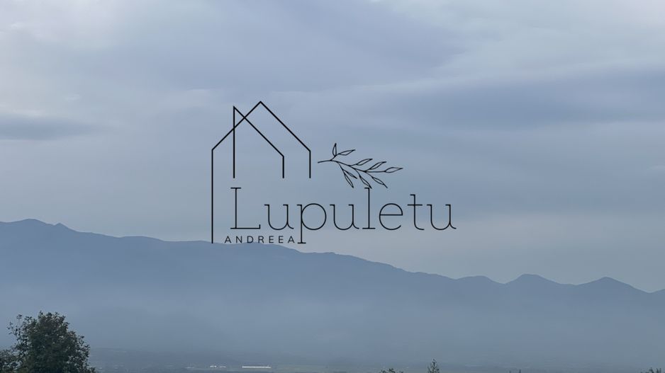 Teren | 1.500 MPU | Bradu - Poză 2