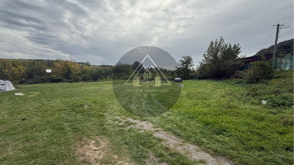 Teren Copsa Mica - Poză 3