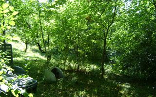 Teren de vânzare în Breaza– zonă liniștită, ideal pentru relaxare - Poză 14