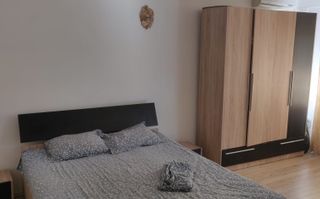Apartament 1 Cameră Decomandat Lidl Nicolina - Poză 1