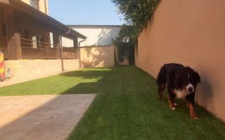 Pipera Vand Birou Locuinta Vila Casa Proprietar Comision 0% - Poză 4