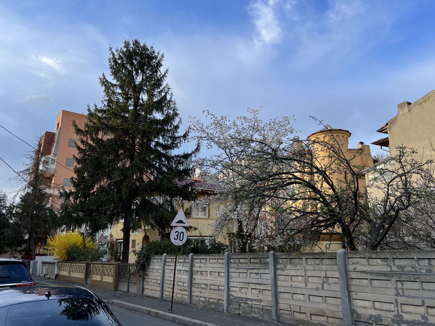 Vila Primaverii 300 mp utili teren 250 mp - Poză 23