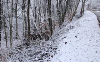 Teren de vanzare I izvor apă minerală  Dangești I 2 Hectare - Poză 23