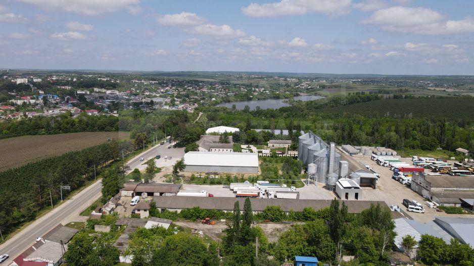 Vânzare, teren, 43,5 ari, str. Olimpica, Briceni - Poză 6