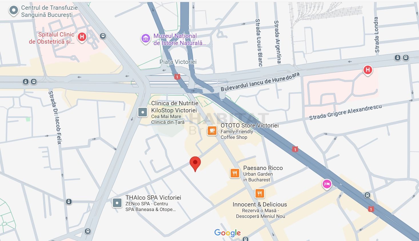 Oportunitate excepționala: Proprietate St.Sevastopol, la 30m de Calea Victoriei - Poză 2